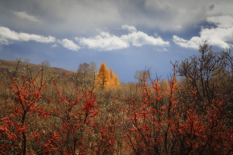 Осенний Алтай фото превью