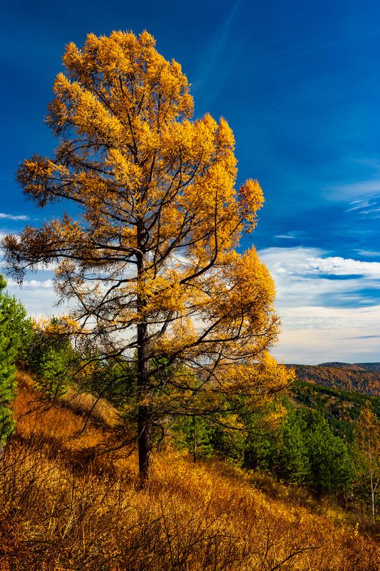 Осень. фото превью