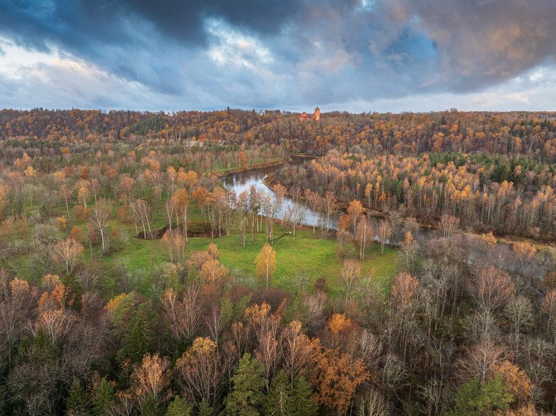 Утро золотой осени фото превью