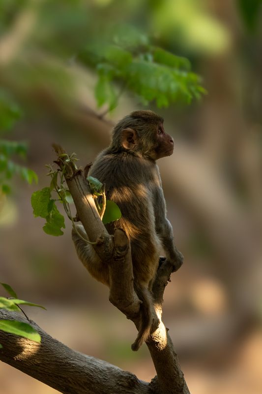Hiding From the Sun фото превью