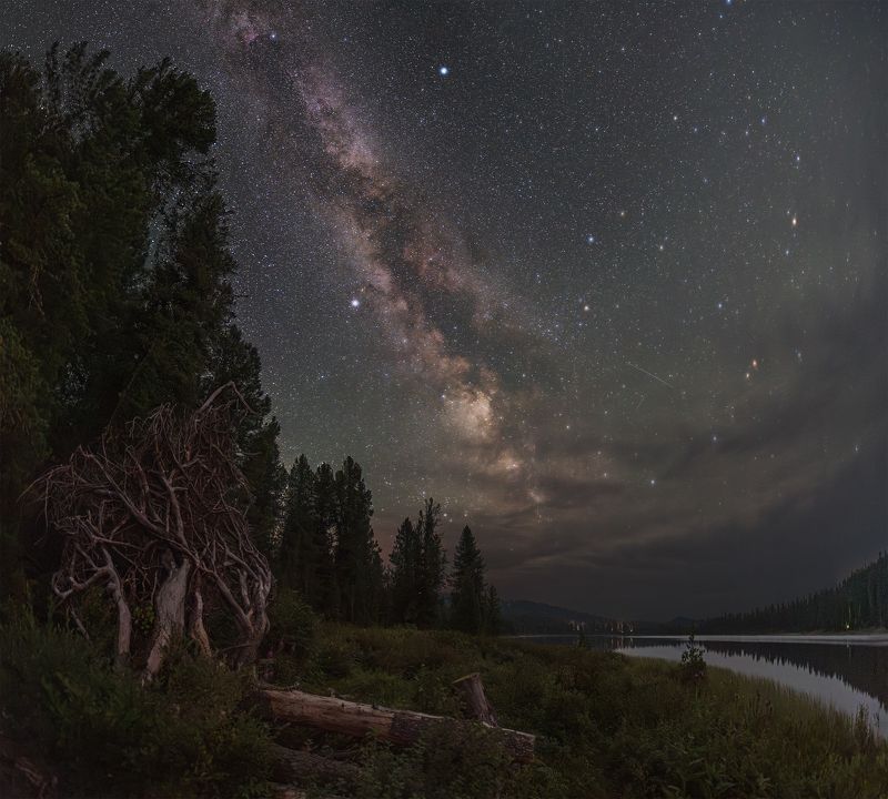 астрофото, астрофотография, ночь, астрономия, астропейзаж, млечный путь, звезды, ночное небо, night, nightphotography, stars, milkyway, longexposure Таежный Ктулху :) фото превью