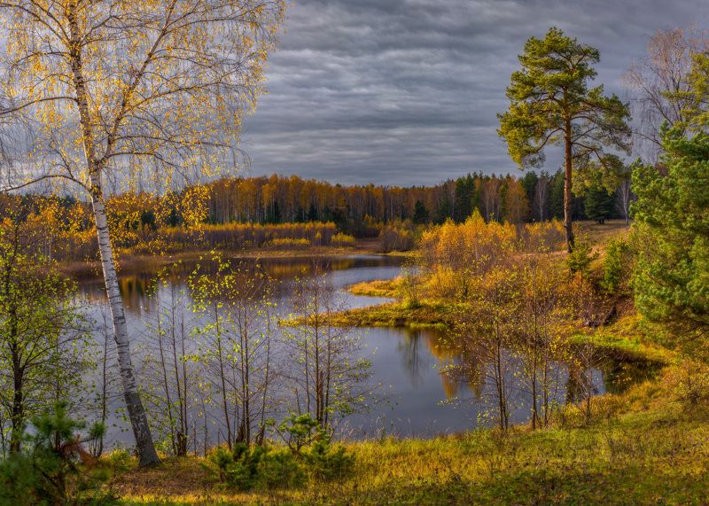 пейзаж осень октябрь саврасово  вязниковский район пивоварово Осенний день. фото превью