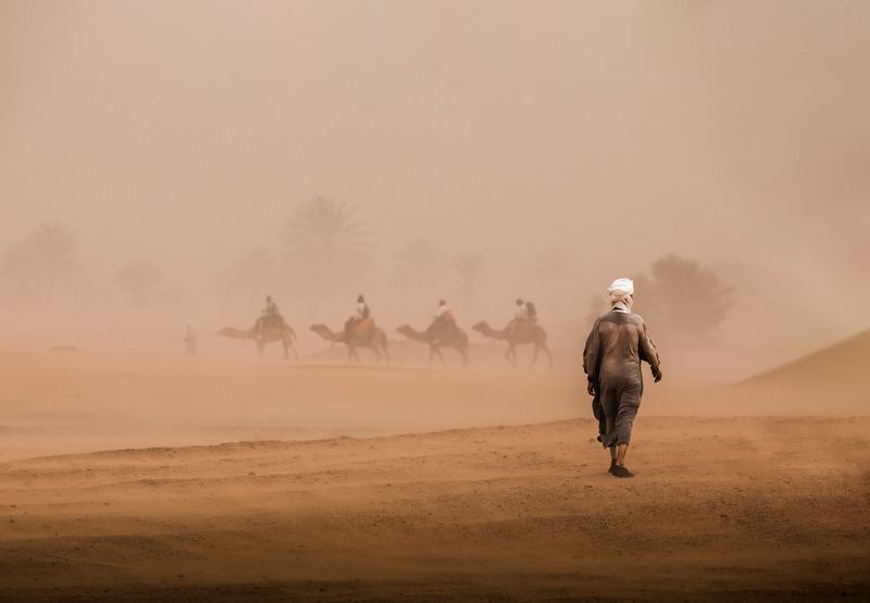 песок, шторм, Сахара, ветер, верблюд Песчаная буря в Сахаре фото превью