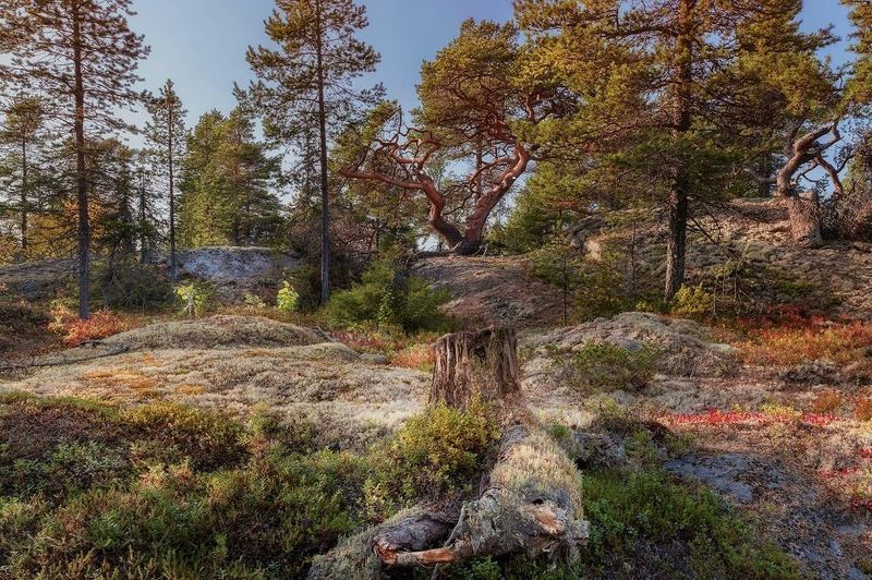 фото превью