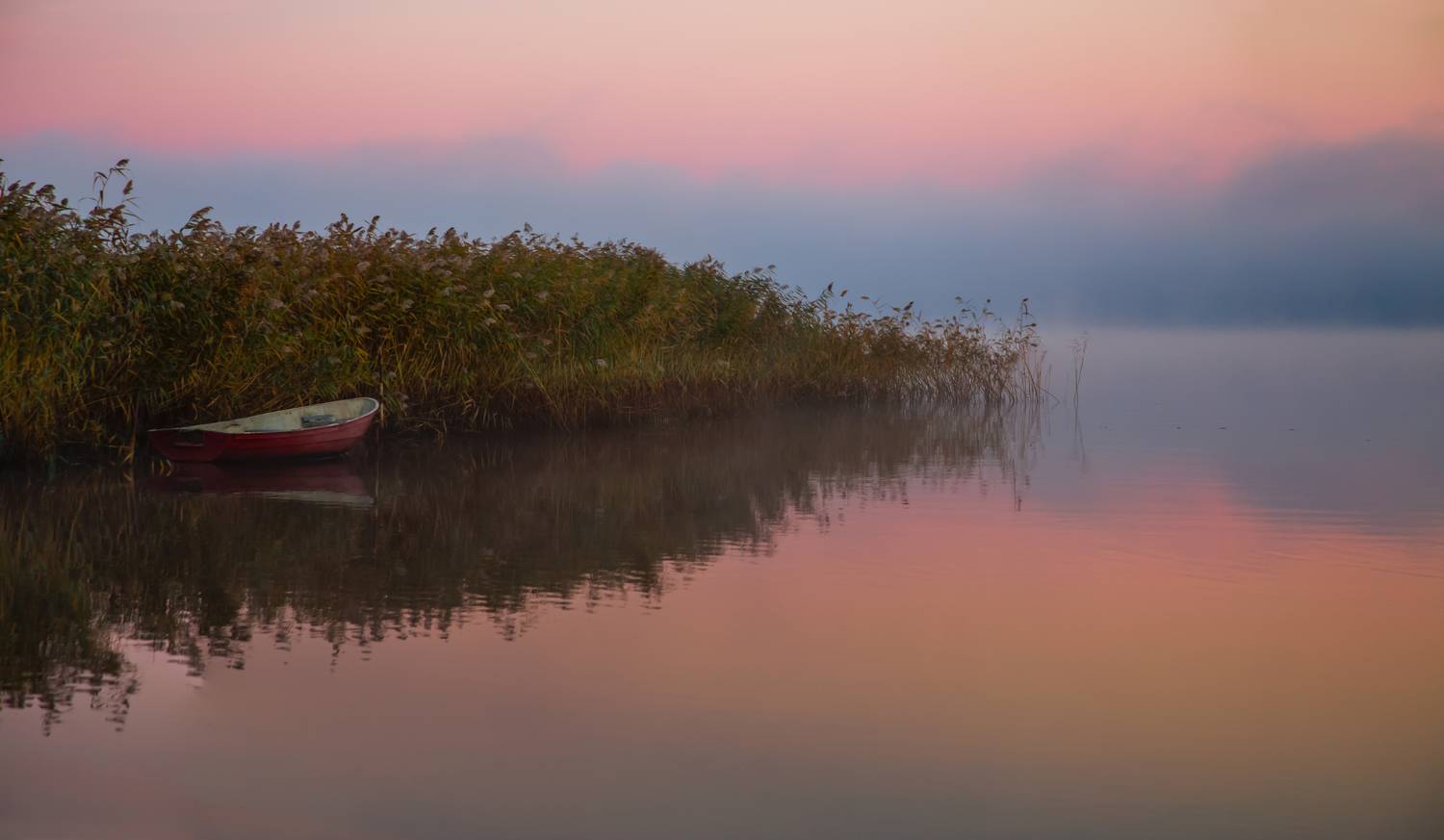 озеро, утро, вода, отражение, туман, пейзаж, landscape, fog, lake, Виктор