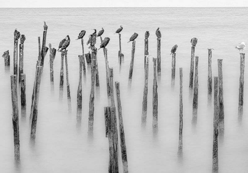 Минимализм фото превью