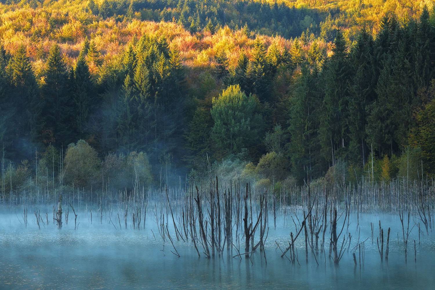 , Stefan Chirobocea