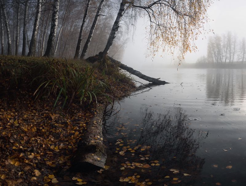 #пезаж #осень #туман  фото превью