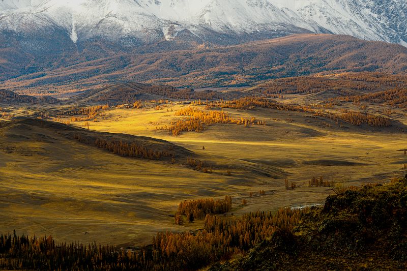 алтай, осень, горы Горный Алтай 1 октября фото превью