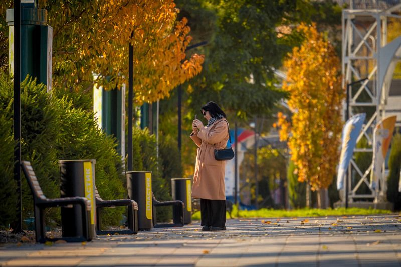 осень в парке  фото превью