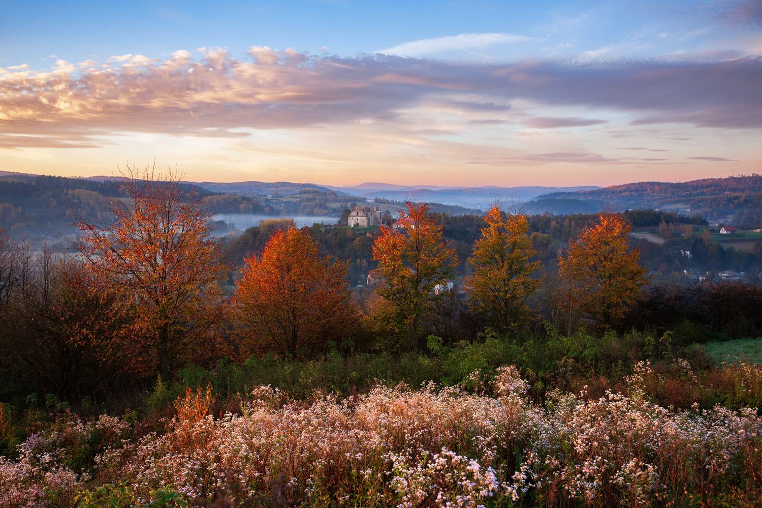 ,  Mirosław Pruchnicki