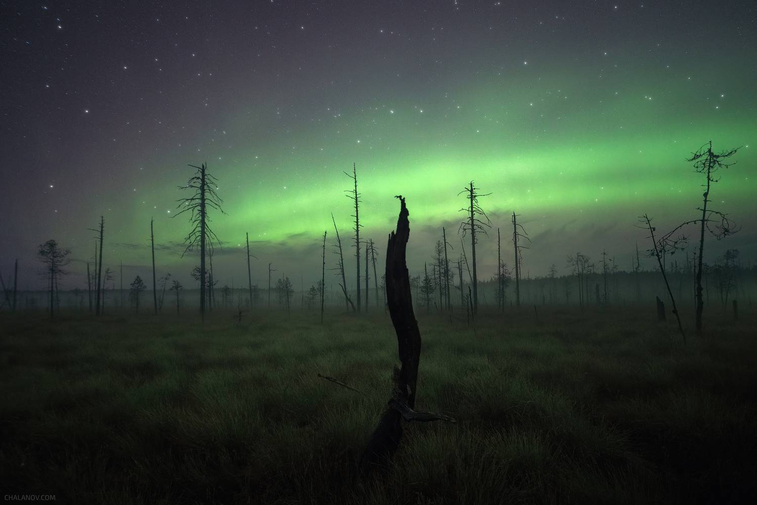 пейзаж, ночь, северное сияние, туман, звезды, Иван Чаланов