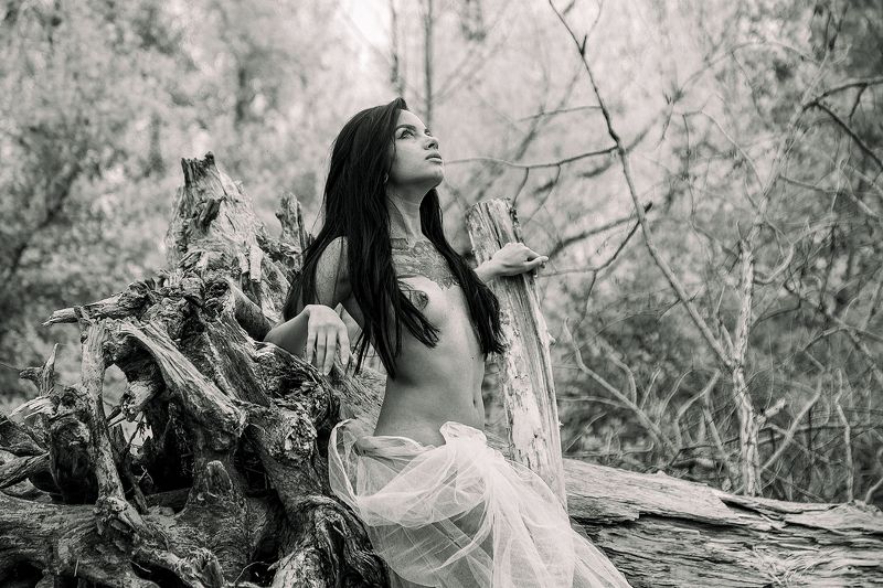 амазонка фото превью