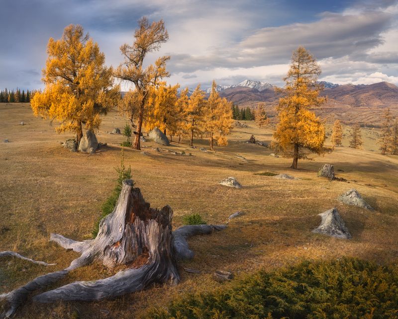 Прогулка по осенним склонам фото превью