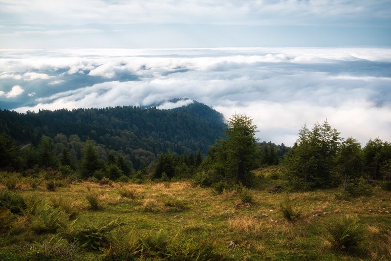 До облаков достать рукой фото превью