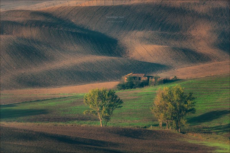 italy,san quirico d\'orcia,italia,рельеф,италия,тоскана,pienza,кипарис,toscana,осень,tuscany,cipressi,belvedere,пьенца,тени,nature,agriculture,rural,фактуры Заброшенный домик фото превью