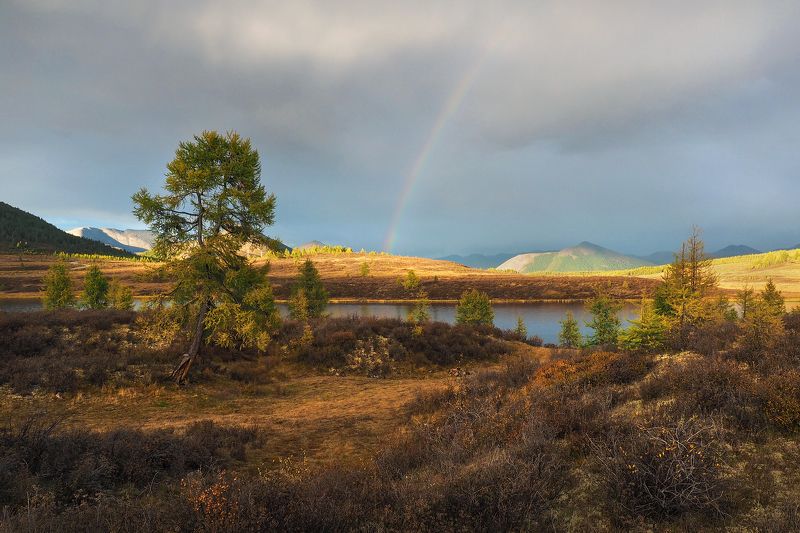 После дождя фото превью