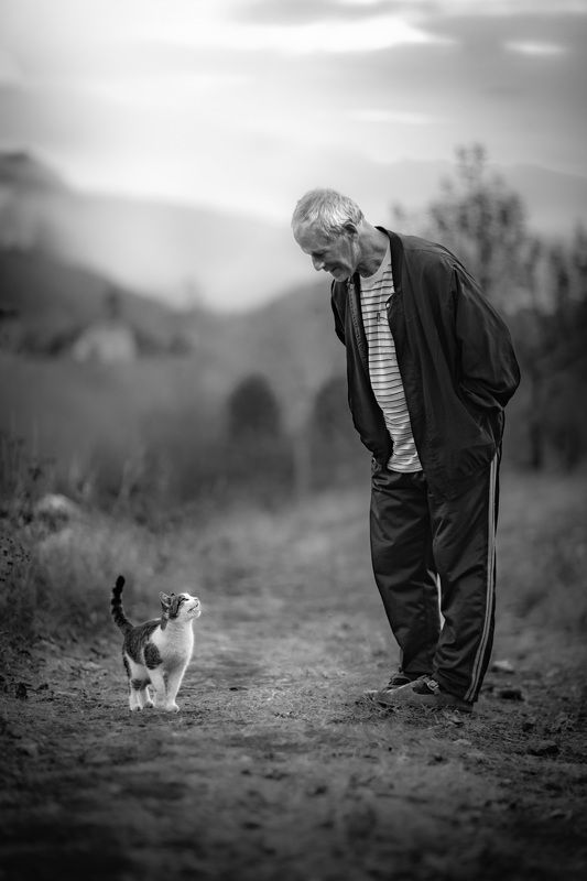 Кот, животное, старик, дерево, природа Друзья фото превью