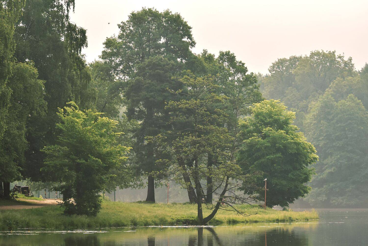 , Даников Анастасия