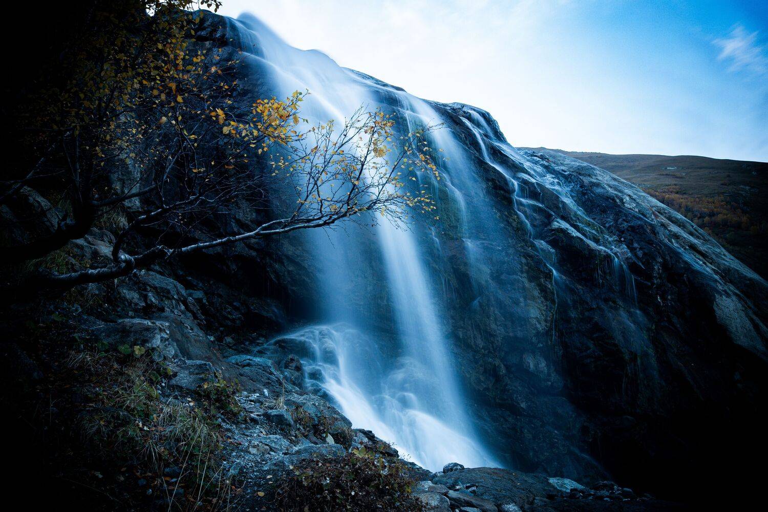 , Светлана Москвина
