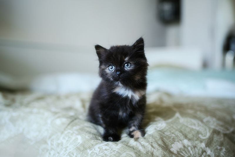 Lucy фото превью