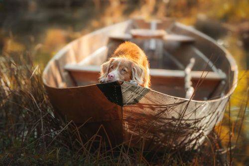 In the boat