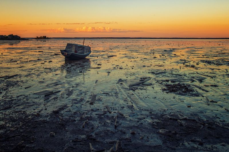 Отлив на Белом море фото превью