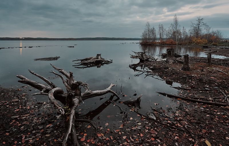 * фото превью