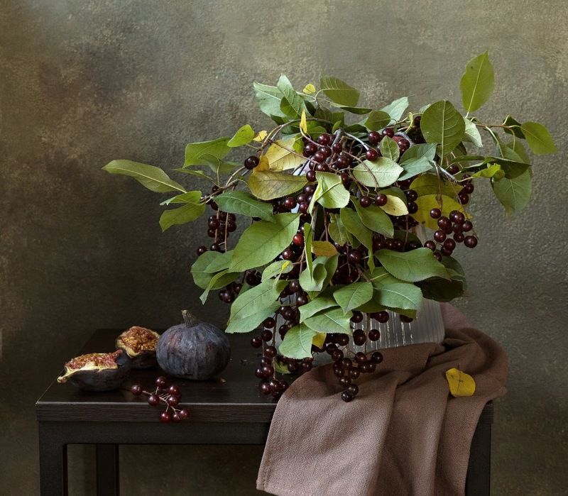 фото превью