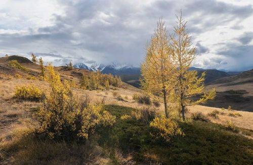 Алтайская осень