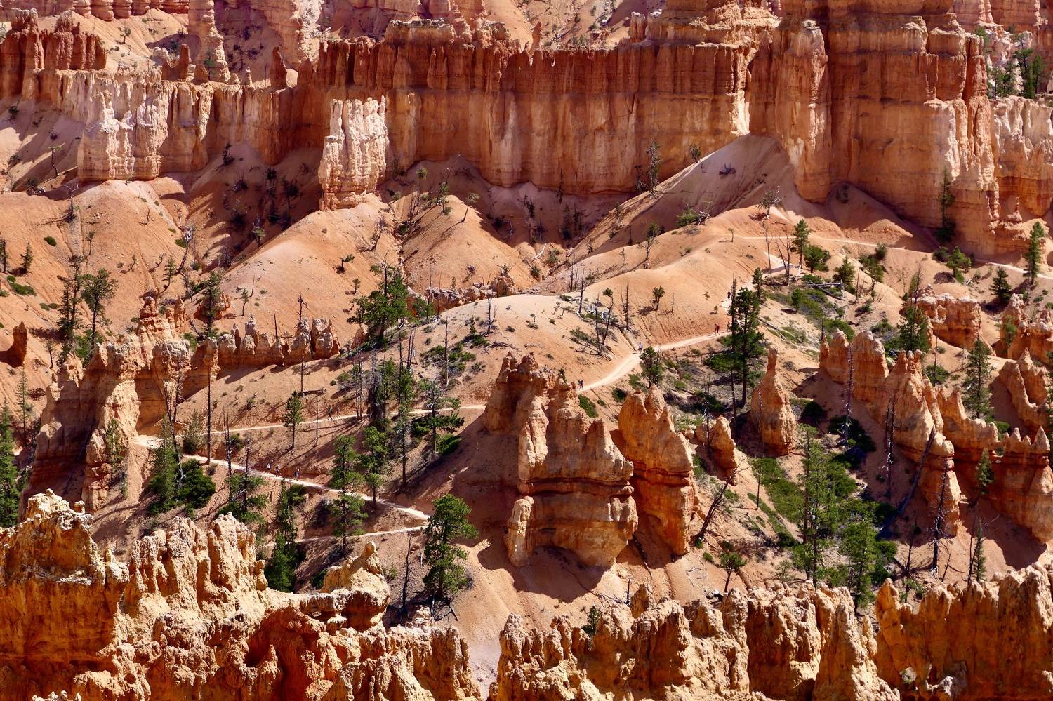 Landscapes, Utah, Canyon Bryce, USA, National Park, Rocks formation, Colorful, , Svetlana Povarova Ree