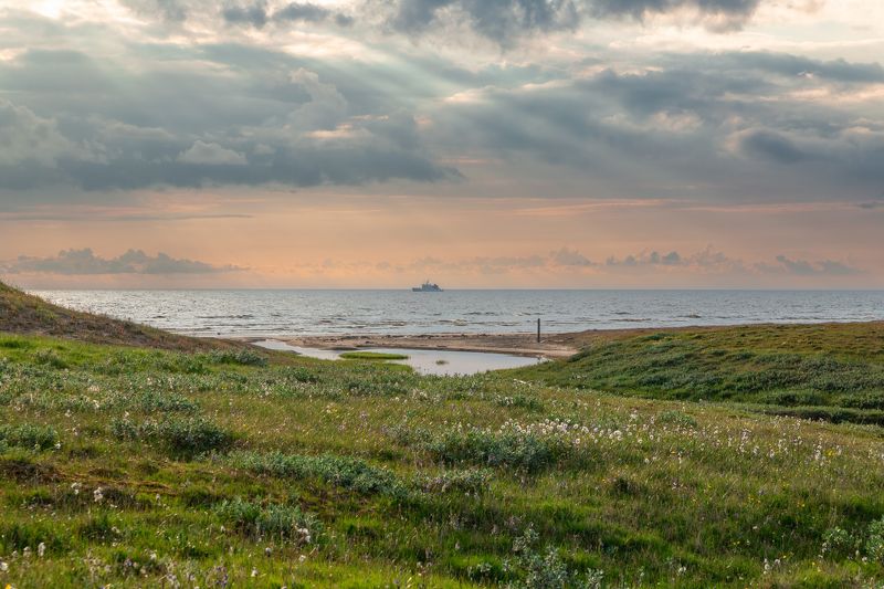 Север, лето, тундра, море, пароход Гыдан фото превью