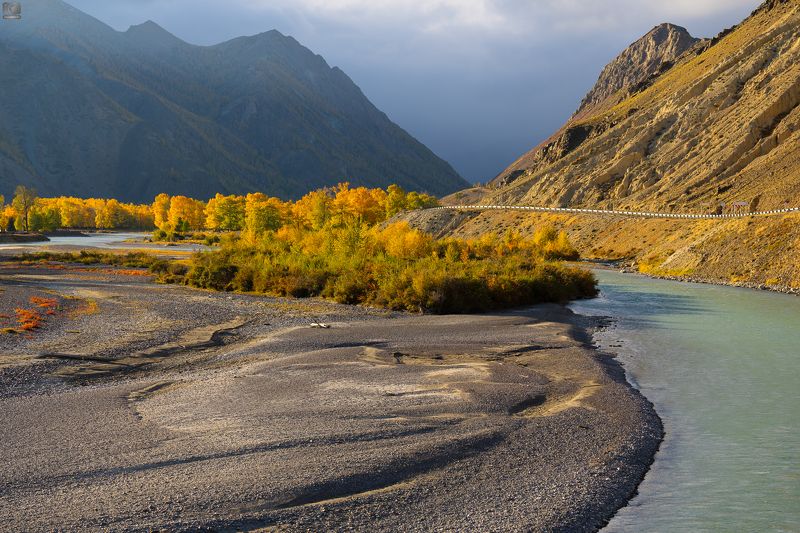 алтай Чуйский тракт фото превью