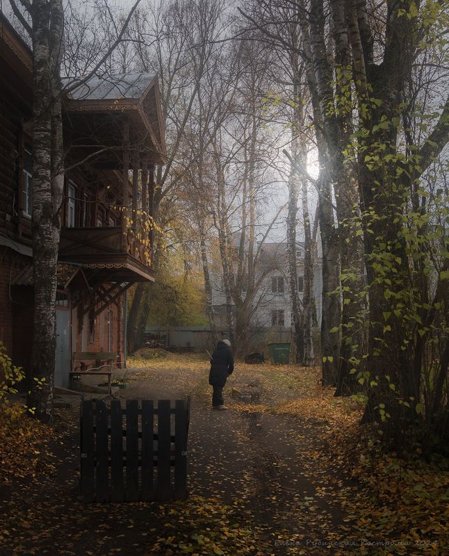 Поздняя осень фото превью