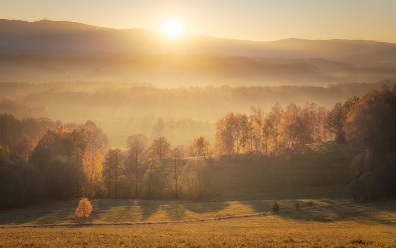 Autumn фото превью