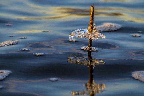 Осенние зарисовки.