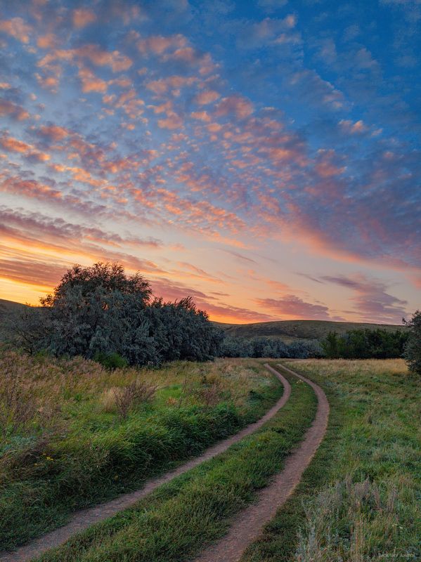 оренбургская область, рассвет, дорога  фото превью
