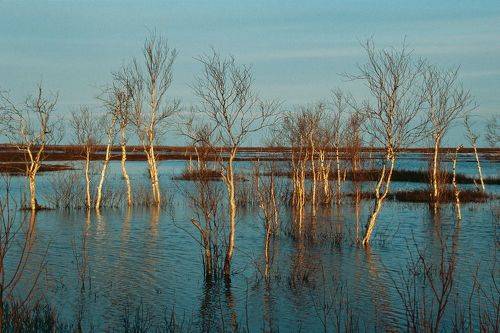 Вешние воды