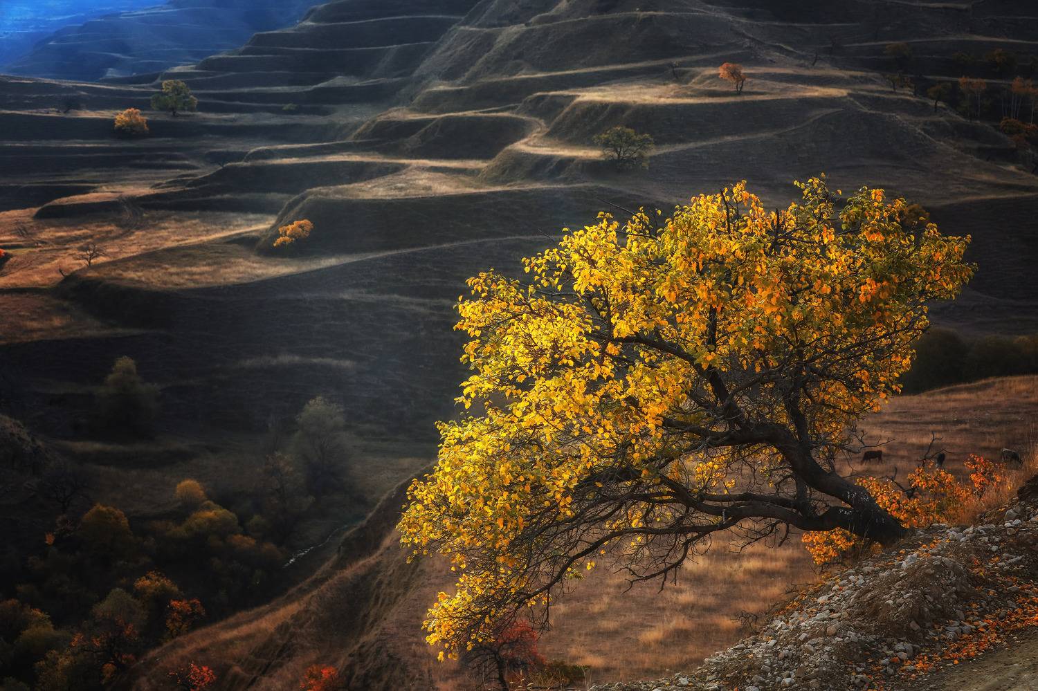 дагестан, гуниб, рассвет, горы, Андрей Ершов