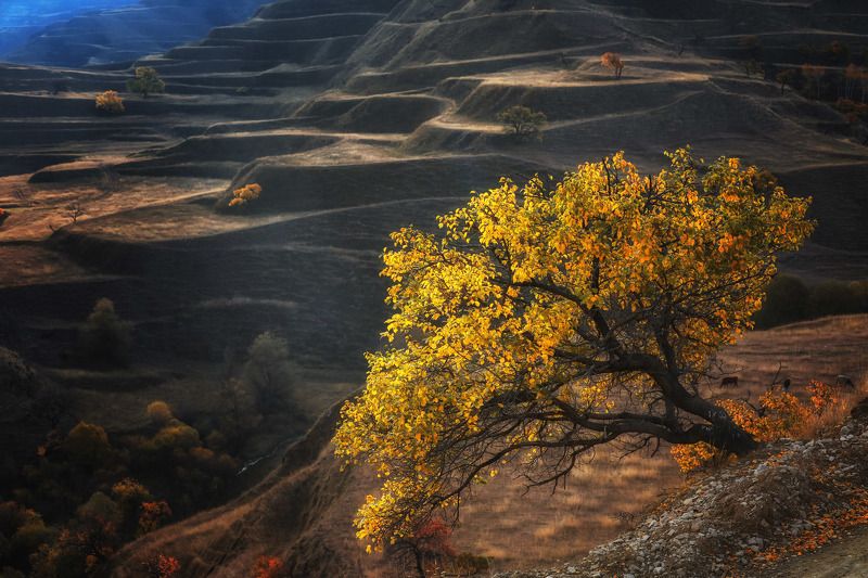 дагестан, гуниб, рассвет, горы .... фото превью