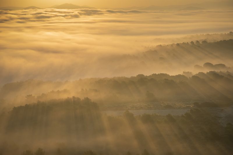 #fog #landscapes #morning #goldhours  The Fog фото превью