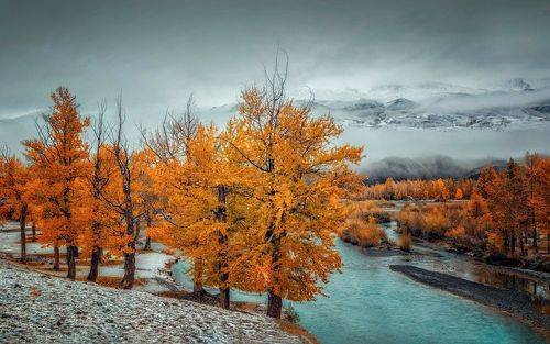 Тополиная роща...