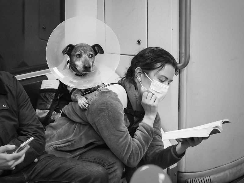 В клинику... фото превью