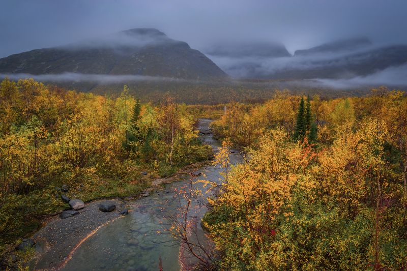 Про дождик и его плюсы )) фото превью