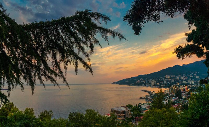 Comfortably Numb фото превью