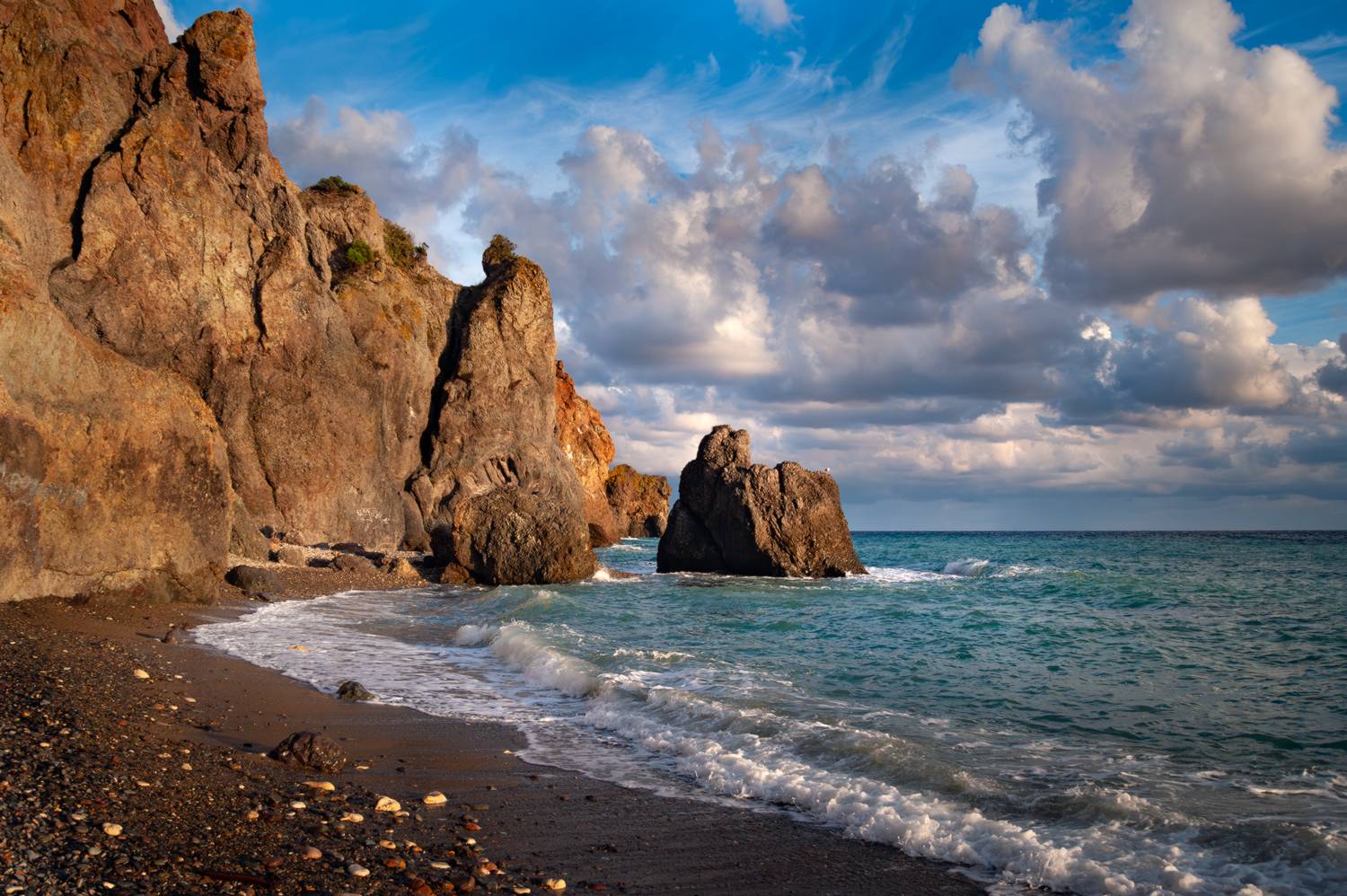 , Васильева Дарья