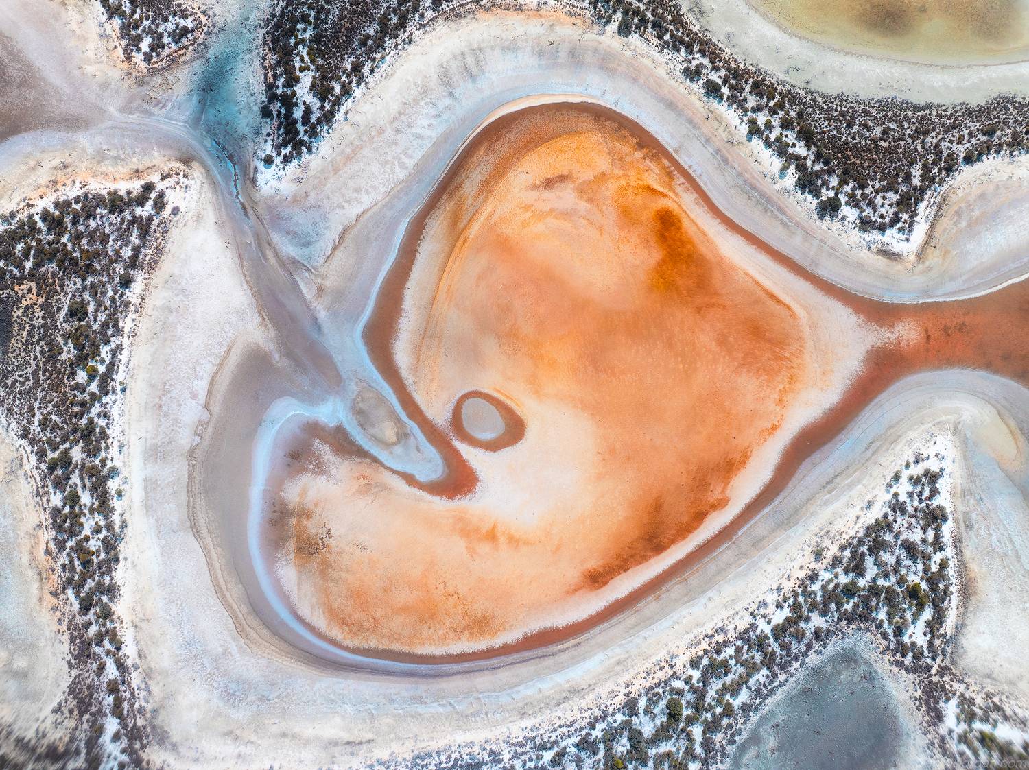 , Даниил Коржонов