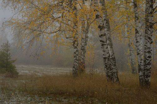 Осеннее утро