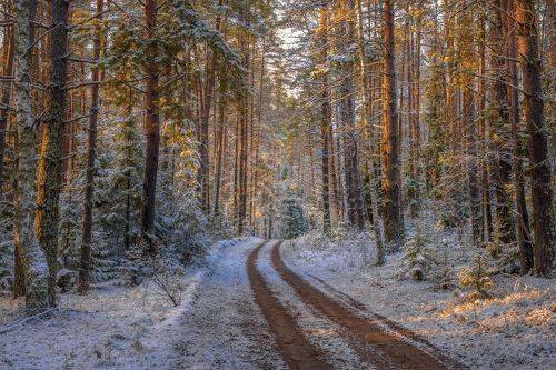 Свежесть первого снега.