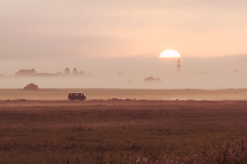 На рассвете фото превью